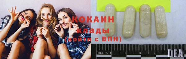 Альфа ПВП Гусев