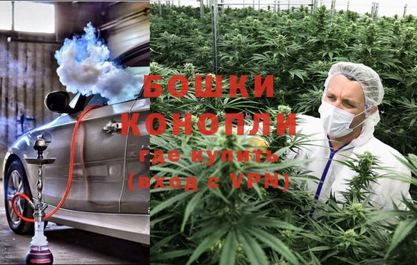 Альфа ПВП Гусев