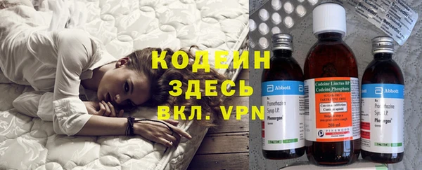 Альфа ПВП Гусев