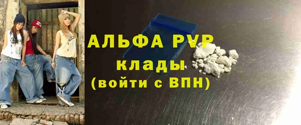 Альфа ПВП Гусев